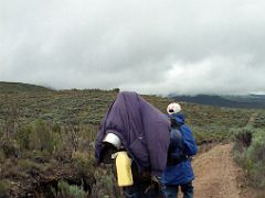 06 My Guide And Cook Lead The Way On A Wide Trail As We Near Chogoria Camp On The Mount Kenya Trek October 2000
